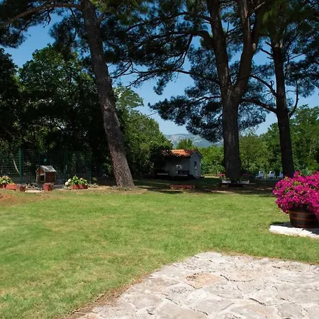 Roko Apartamento